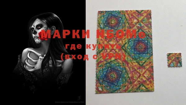 гашик Каменка