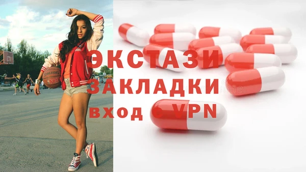 гашик Каменка