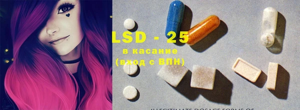 гашик Каменка