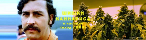 гашик Каменка