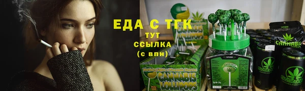 гашик Каменка