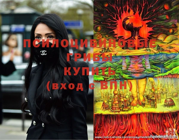 гашик Каменка