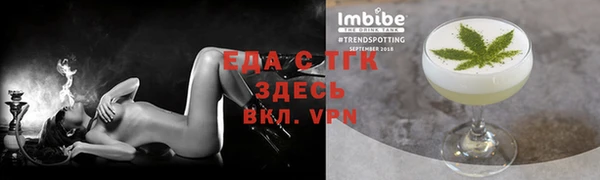 гашик Каменка
