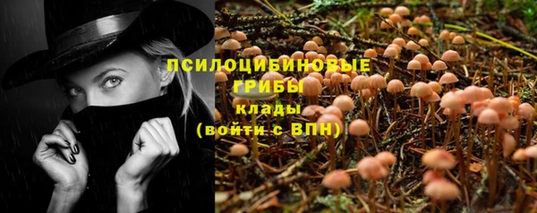 мескалин Каменногорск