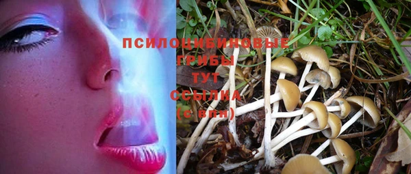 мескалин Каменногорск