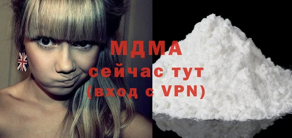гашик Каменка