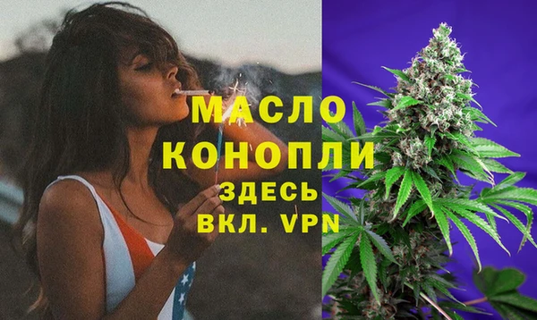 гашик Каменка