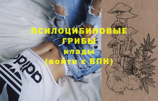 гашик Каменка