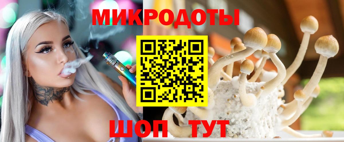 Псилоцибиновые грибы Cubensis Приморско-Ахтарск