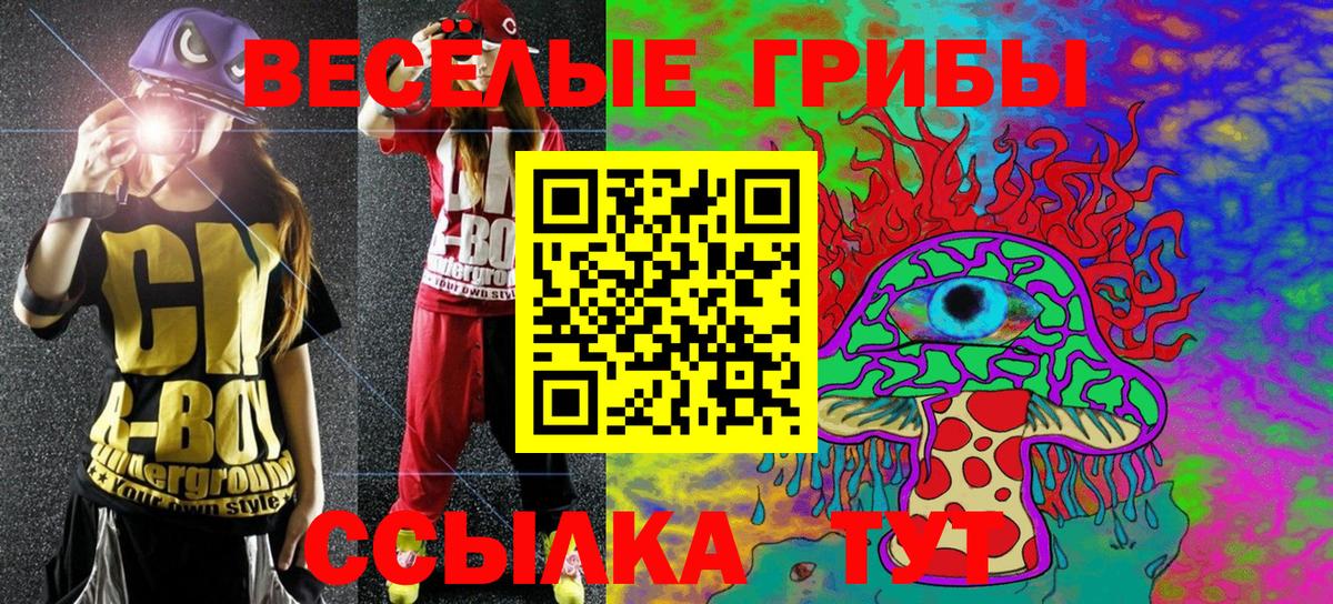 купить   Вход с VPN  Приморско-Ахтарск  Псилоцибиновые грибы GOLDEN TEACHER 